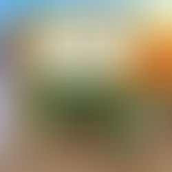 The Cinnamon Bun Book Store The Dream Harbour, Book 2 By: Laurie Gilmore