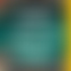 None of  This Is True A Novel By Lisa Jewell Free Audiobook