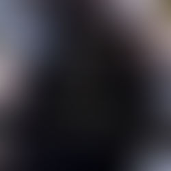 The Blood That Binds Us By: Erin Mainord