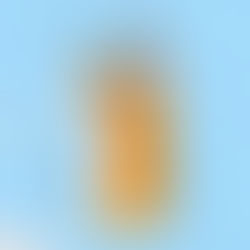 We'll Prescribe You a Cat By: Syou Ishida, E. Madison Shimoda - translator