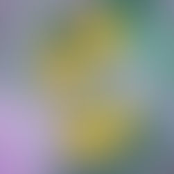 Even Exchange Crystal Bay University, Book 3 By: Hailey Dickert