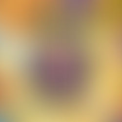 Raybearer By: Jordan Ifueko