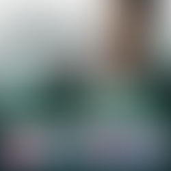 The Complete Book Boyfriend Series The Book Boyfriends Series, Books 1-4 By: Erika Wilde, Carly Phillips