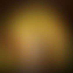 Wheel of  the Fates The Carolingian Chronicles, Book 2 By J. Boyce Gleason