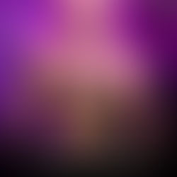 The Cursed King Inferno Rising, Book 4 By Abigail Owen