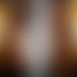 The Ratcatcher By: Anthony Khaseria