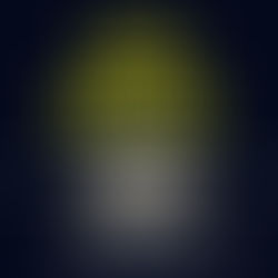 The Secret Marriage By: Mikayla Davids