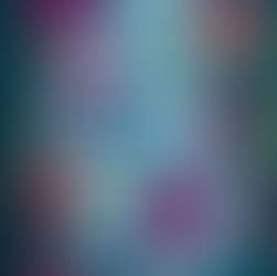 The Endurance of  Wildflowers A Wildflower Duet Novella (Wildflower Duet, Book 3) By: Micalea Smeltzer