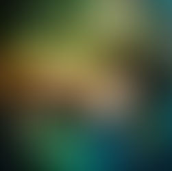 A Sharp Endless Need A Novel By: Marisa Crane