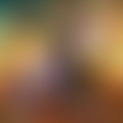 Charlie Foxtrot 101 (Dramatized Adaptation) The Warrior, Book 2 By Michael Anderle, Martha Carr