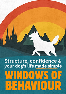 Windows for Structure COVER.png