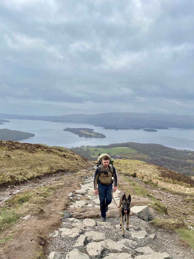 Adventure Dog.jpg