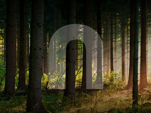 Open Air Group enters agreement to divest Natlink