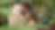Hannah_Website_Thumb_01.jpg
