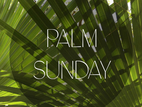 Palm Sunday