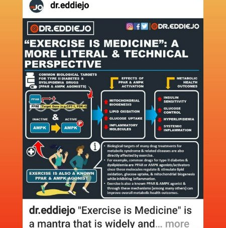 Daily Workout 1.11.2019