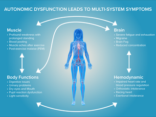 I am a Fighter - Living and Training with POTS