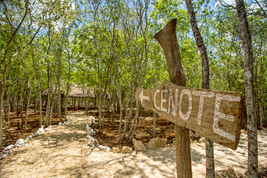 The best tour to chichen itza, private, group