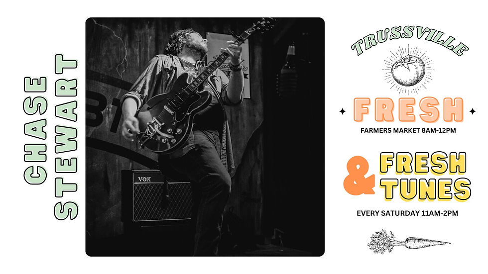 Chase Stewart - Local Music Series