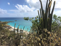 IMG-20190328-WA0009.jpg
