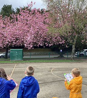blossom tree clip.jpg