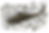 ChatGPT Image Jun 16, 2025, 09_52_29 AM.png