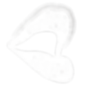 Untitled design (8).png