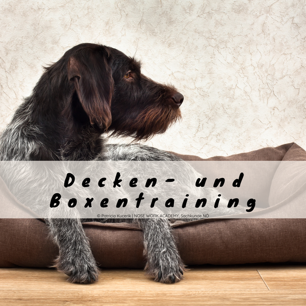 Decken- und Boxentraining