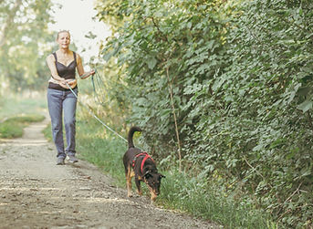 Webformat - Nosework (31).jpg