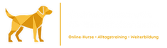 S-Logo-lang-trans.png