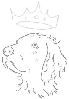 Skizze