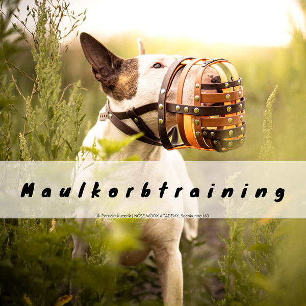 Maulkorbtraining