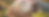 Messe Hintergrund.png