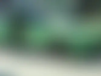 Carros elétricos da marca BYD