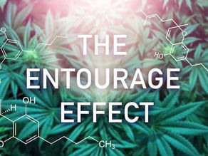 The Entourage Effect