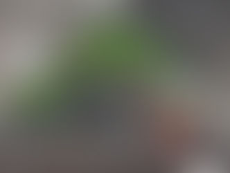 Exposition Régionale de la FFB à Montpellier