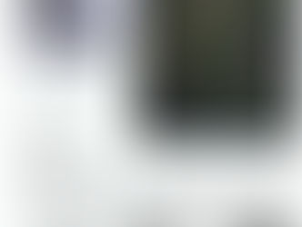 Blog Gabriel et ses camélias à l’honneur dans Esprit Bonsaï