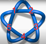 Cinquefoil (2).bmp