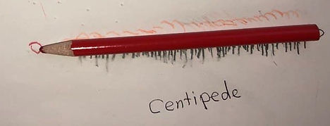 photo_2021-02-21_09-58-40 (2).jpg