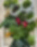 veggies cart.jpg