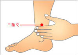 三陰交.jpg