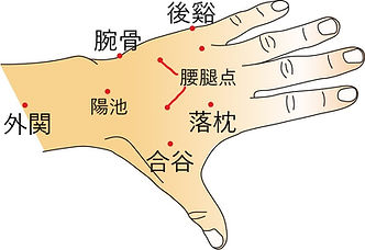 手の甲ツボ2.jpg