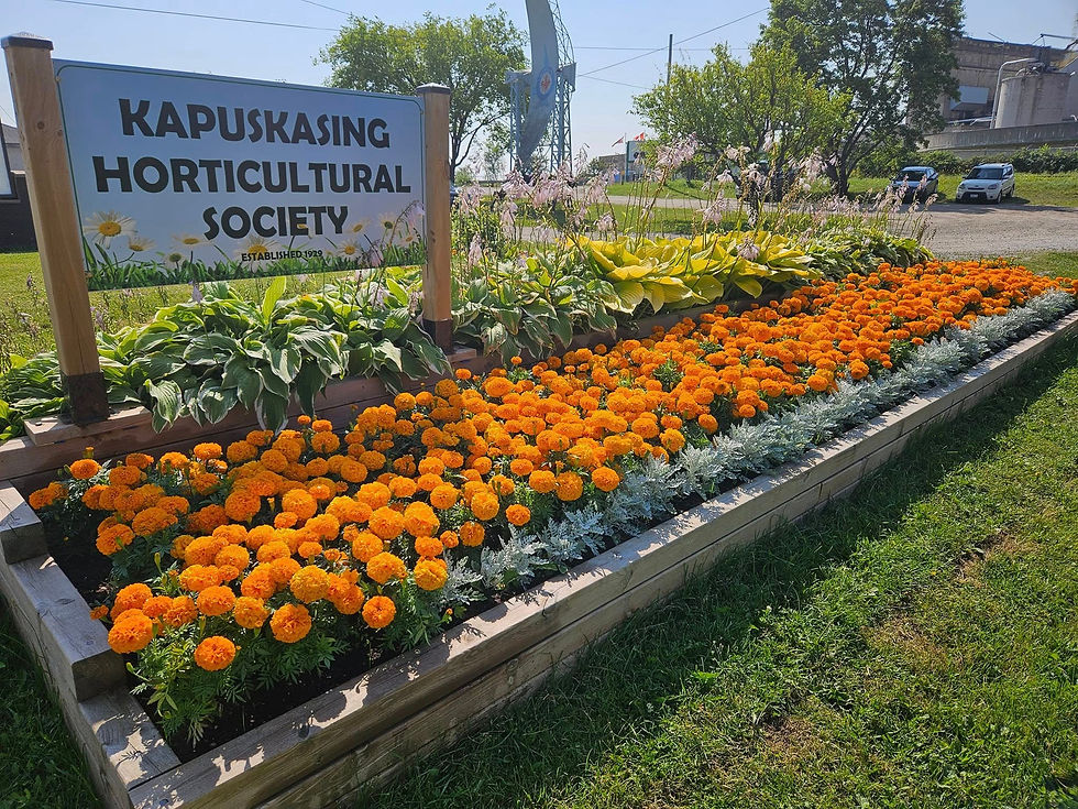 Kapuskasing Mini Park Annual Flower Bed