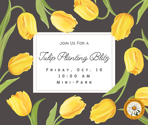 Tulip Planting Blitz 1.png