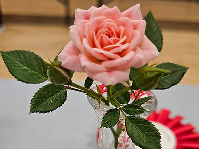 455946249_3600828150179729_2250933572640824998_n_edited_edited.jpg