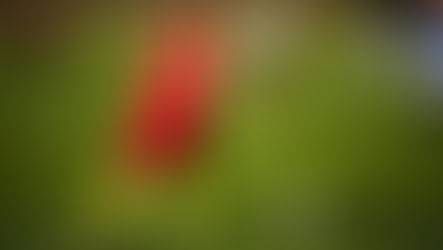 Jaaikaran Chanana: Empowering the sports through leadership quality