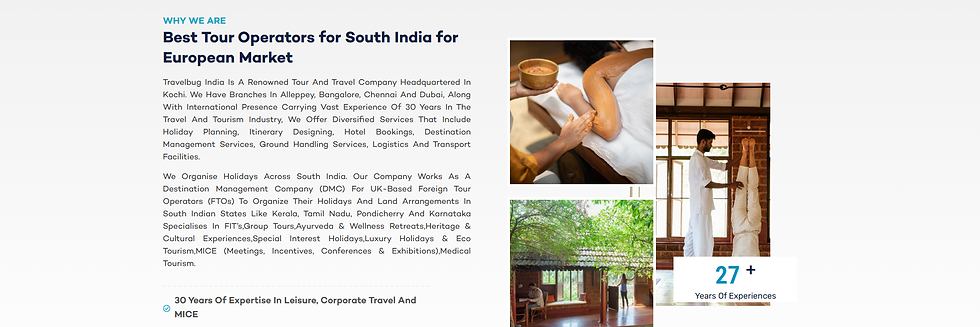 Travelbug India