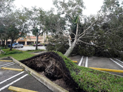 Hurricane Isaias Leaves Thousands Without Power Across Florida