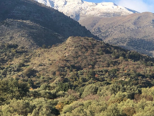 More snow overnight!