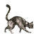 Cat in leeds